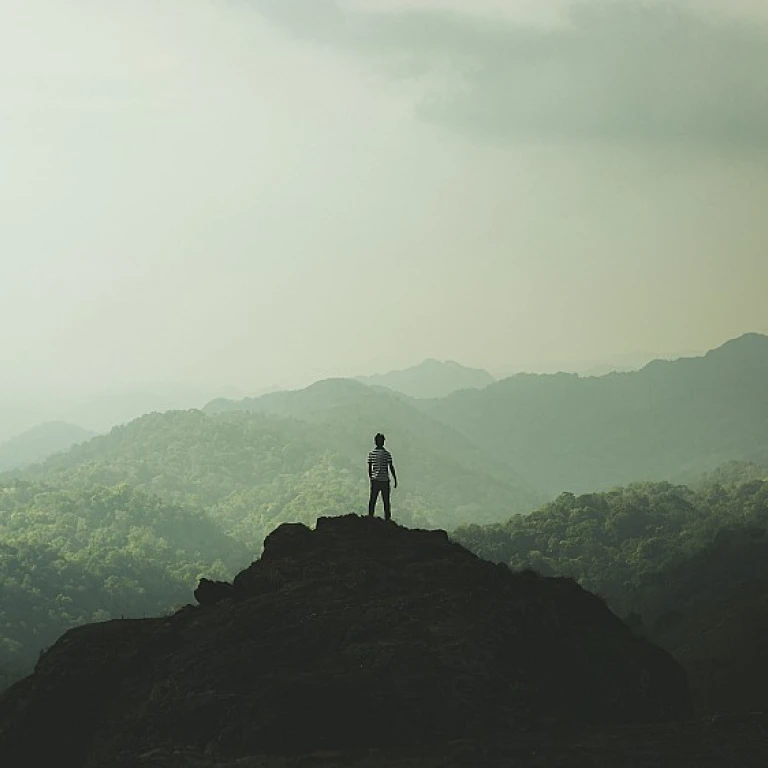 Leveraging AI for Enhanced Survey Insights in HR Tech