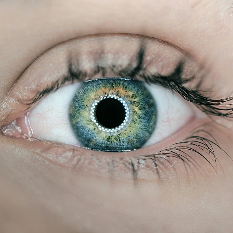 Mastering the Art of Fine Payroll Management